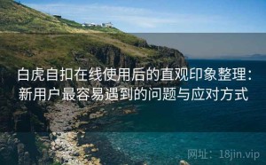 白虎自扣在线使用后的直观印象整理：新用户最容易遇到的问题与应对方式