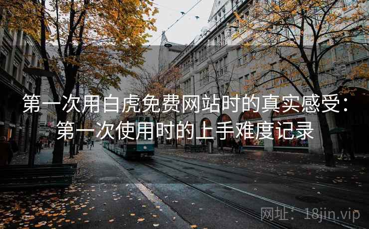 第一次用白虎免费网站时的真实感受：第一次使用时的上手难度记录