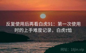 反复使用后再看白虎91：第一次使用时的上手难度记录，白虎t恤