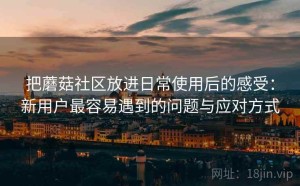 把蘑菇社区放进日常使用后的感受：新用户最容易遇到的问题与应对方式