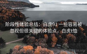 阶段性体验总结：白虎91 一些容易被忽视但很关键的体验点，白虎t恤