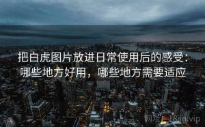 把白虎图片放进日常使用后的感受：哪些地方好用，哪些地方需要适应