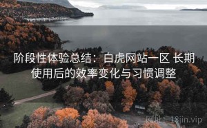 阶段性体验总结：白虎网站一区 长期使用后的效率变化与习惯调整