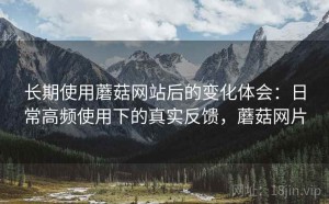 长期使用蘑菇网站后的变化体会：日常高频使用下的真实反馈，蘑菇网片