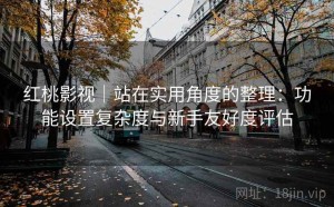 红桃影视｜站在实用角度的整理：功能设置复杂度与新手友好度评估