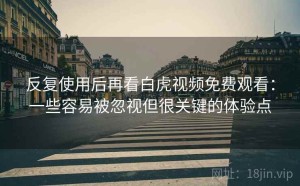 反复使用后再看白虎视频免费观看：一些容易被忽视但很关键的体验点