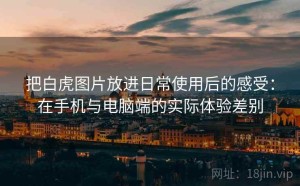把白虎图片放进日常使用后的感受：在手机与电脑端的实际体验差别
