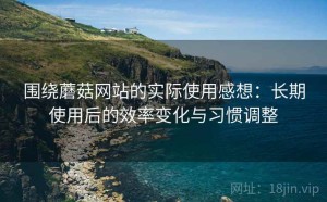 围绕蘑菇网站的实际使用感想：长期使用后的效率变化与习惯调整