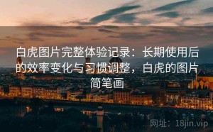 白虎图片完整体验记录：长期使用后的效率变化与习惯调整，白虎的图片简笔画