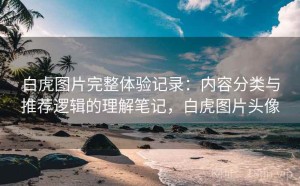 白虎图片完整体验记录：内容分类与推荐逻辑的理解笔记，白虎图片头像