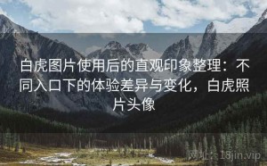 白虎图片使用后的直观印象整理：不同入口下的体验差异与变化，白虎照片头像