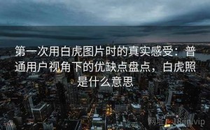 第一次用白虎图片时的真实感受：普通用户视角下的优缺点盘点，白虎照是什么意思