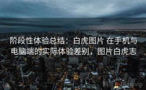 阶段性体验总结：白虎图片 在手机与电脑端的实际体验差别，图片白虎志