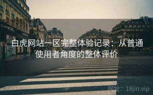 白虎网站一区完整体验记录：从普通使用者角度的整体评价