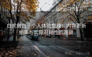 白虎嫩白｜个人体验整理：内容更新频率与实际可用性的观察