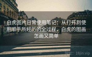 白虎图片日常使用笔记：从打开到使用顺手所经历的全过程，白虎的图画怎画又简单