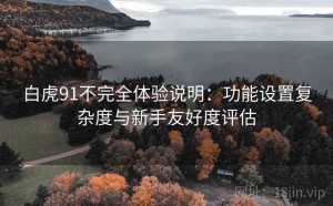 白虎91不完全体验说明：功能设置复杂度与新手友好度评估