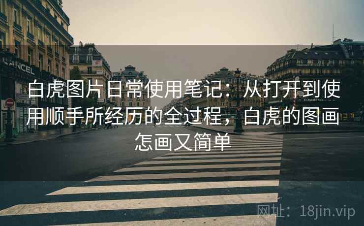 白虎图片日常使用笔记：从打开到使用顺手所经历的全过程，白虎的图画怎画又简单