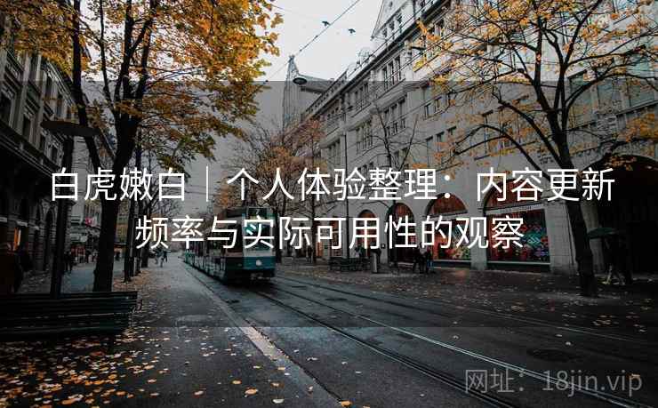 白虎嫩白｜个人体验整理：内容更新频率与实际可用性的观察
