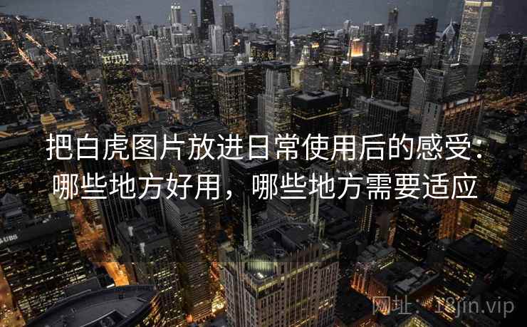 把白虎图片放进日常使用后的感受:哪些地方好用,哪些地方需要适应 把白虎图片放进日常使用后的感受:哪些地方好用,哪些地方需要适应