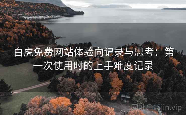 白虎免费网站体验向记录与思考:第一次使用时的上手难度记录 白虎免费网站体验向记录与思考:第一次使用时的上手难度记录