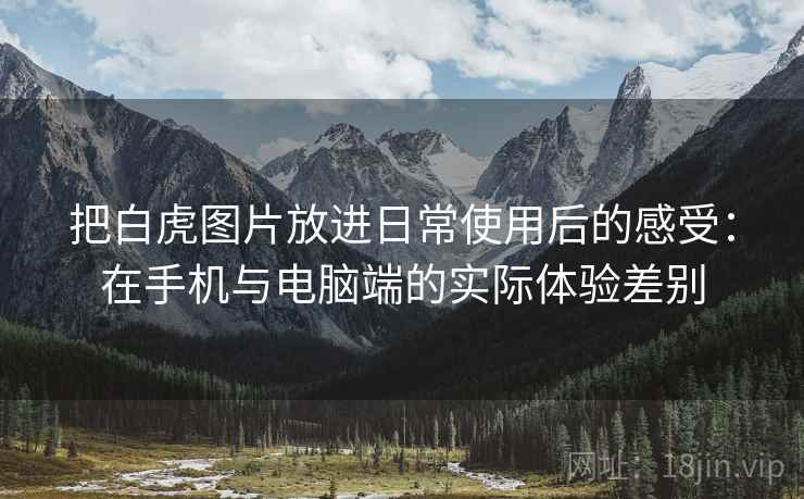 把白虎图片放进日常使用后的感受：在手机与电脑端的实际体验差别