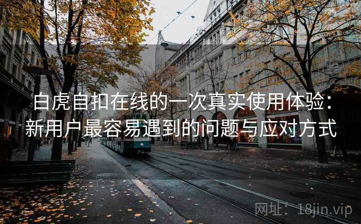 白虎自扣在线的一次真实使用体验：新用户最容易遇到的问题与应对方式