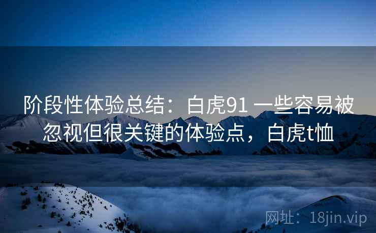 阶段性体验总结：白虎91 一些容易被忽视但很关键的体验点，白虎t恤