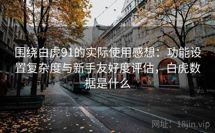 围绕白虎91的实际使用感想：功能设置复杂度与新手友好度评估，白虎数据是什么