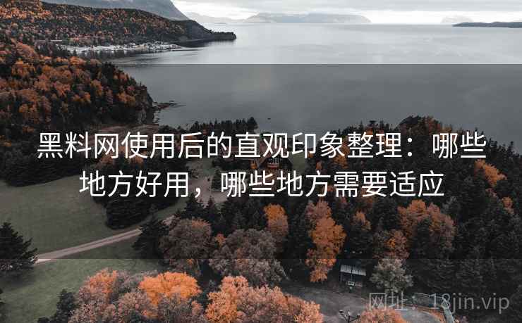 黑料网使用后的直观印象整理：哪些地方好用，哪些地方需要适应