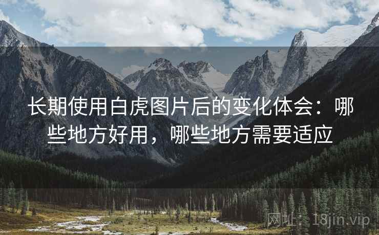 长期使用白虎图片后的变化体会:哪些地方好用,哪些地方需要适应 长期使用白虎图片后的变化体会:哪些地方好用,哪些地方需要适应