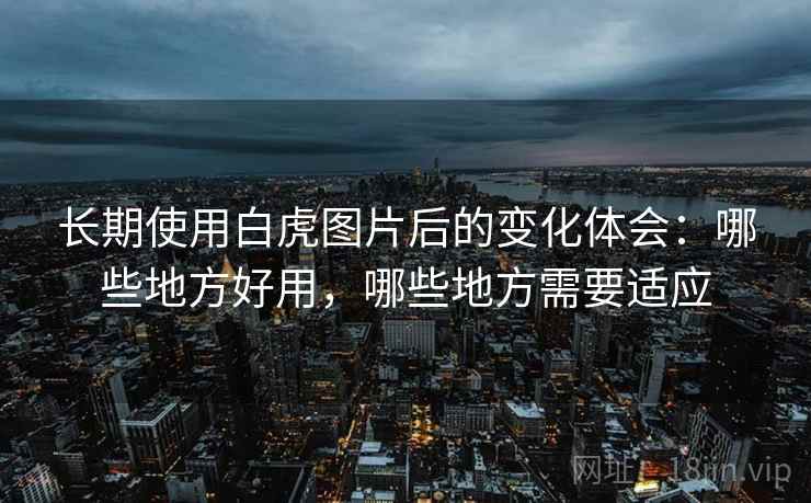 长期使用白虎图片后的变化体会:哪些地方好用,哪些地方需要适应 长期使用白虎图片后的变化体会:哪些地方好用,哪些地方需要适应