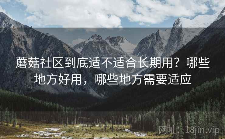 蘑菇社区到底适不适合长期用？哪些地方好用，哪些地方需要适应